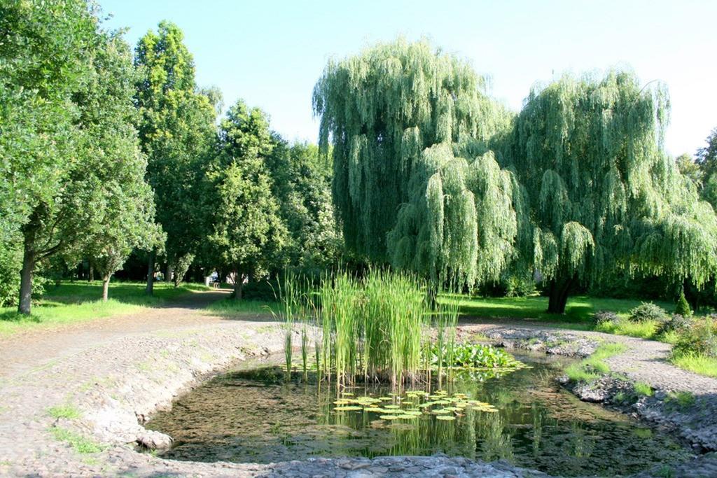Hotel Odr Sulechów Dış mekan fotoğraf